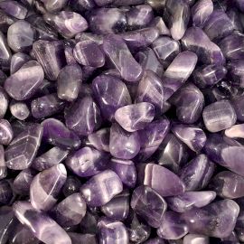 Pack of 24 Amethyst Banded M (B grade)