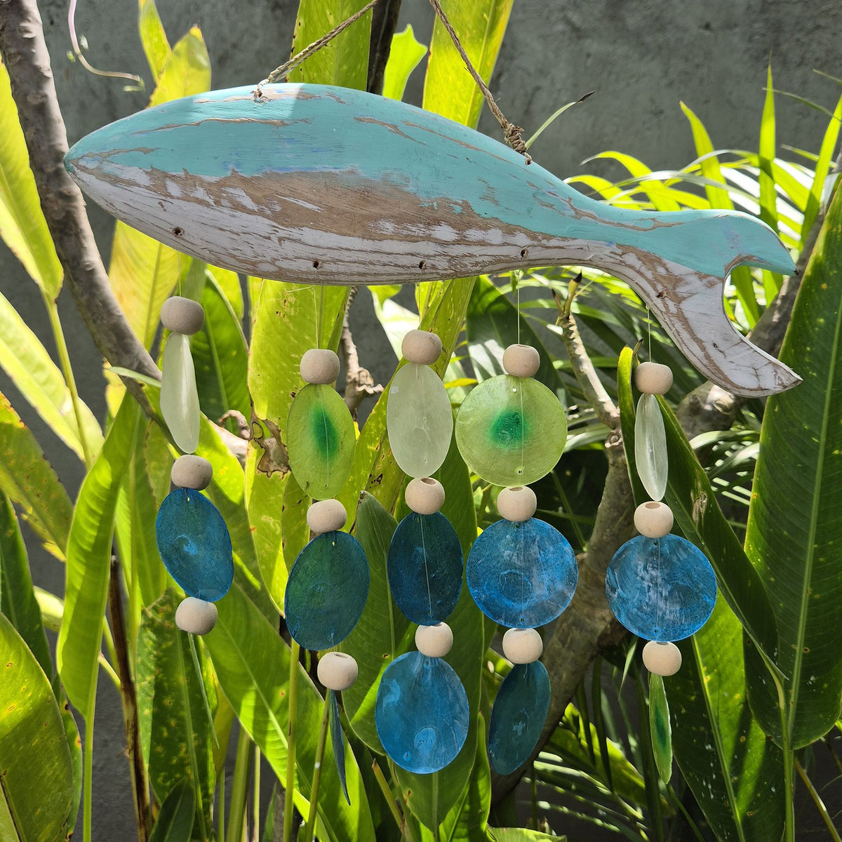 Aqua Fish Carving and Copis Drop