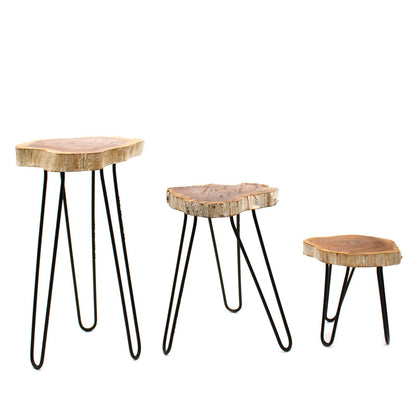 Set of 3 Gamell Wood Plant Stands - Whitewash