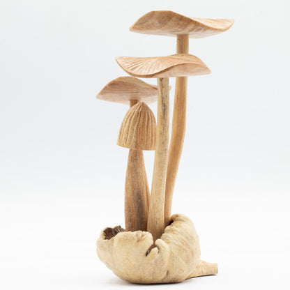 Handmade Parasite Wood Art Carving - Set of 4 Large Mushrooms