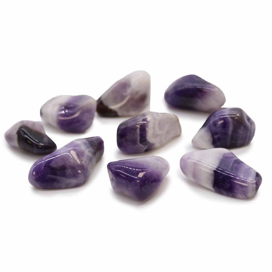Pack of 24 Amethyst Banded M (B grade)