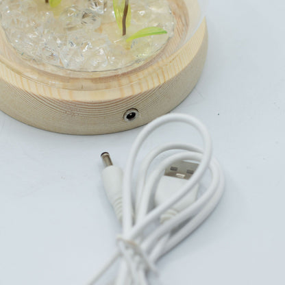Floral Glow Garden Dome - 2 Dandelions - LED USB