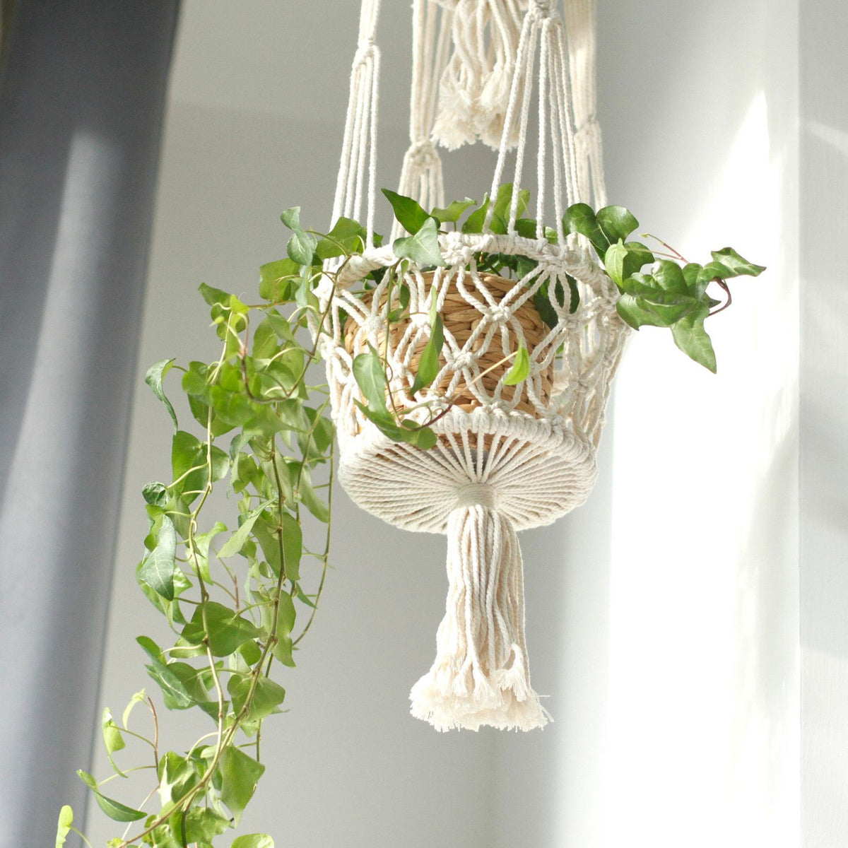 Macrame Pot Holder - Double Holder