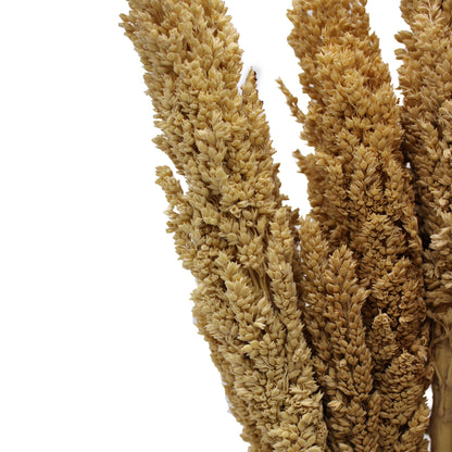 Cantal Grass Bunch - Natural