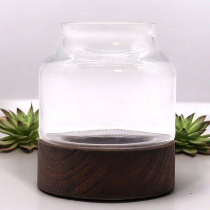 Small Shaped Terarium on Dark Tung Wood - 12x13cm