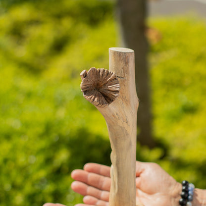Handmade Parasite Wood Art Carving - Greenman