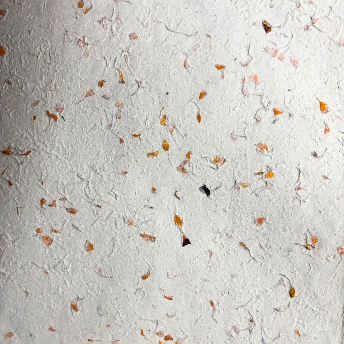 Lokta Craft / Wrapping Paper (51x76cm) - Marigold