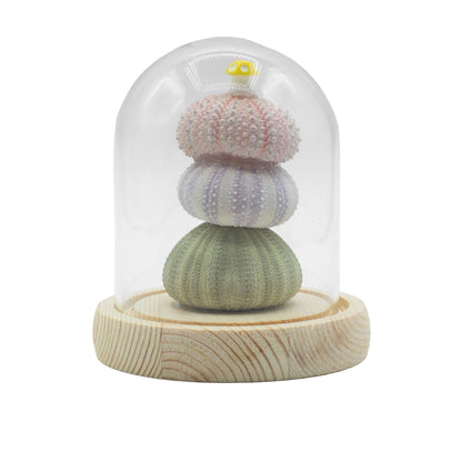 Floral Glow Garden Dome - 3 Sea Urchins - LED USB