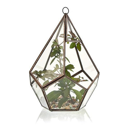 Glass Terrarium - Large Pyramid
