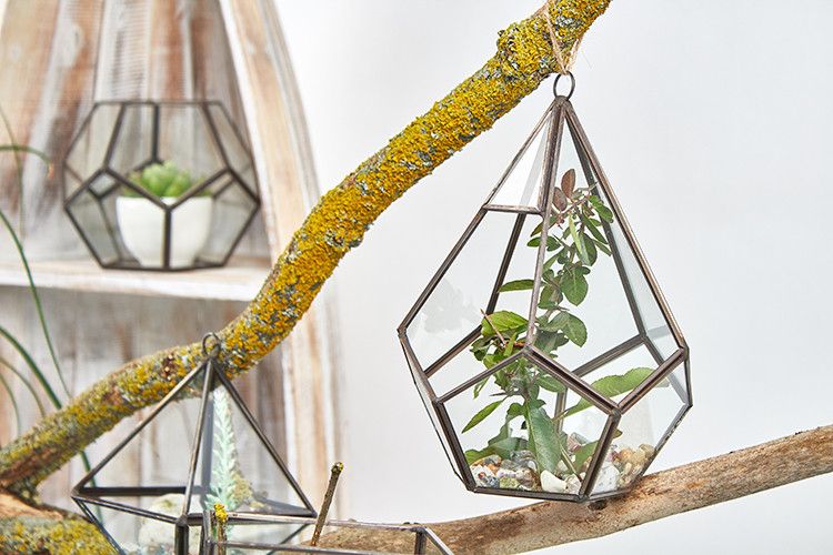 Glass Terrarium - Large Pyramid